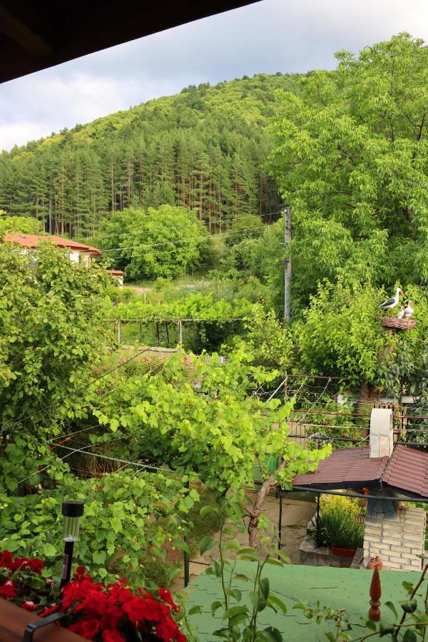 Green House - Попниколови Sapareva Banya Luaran gambar