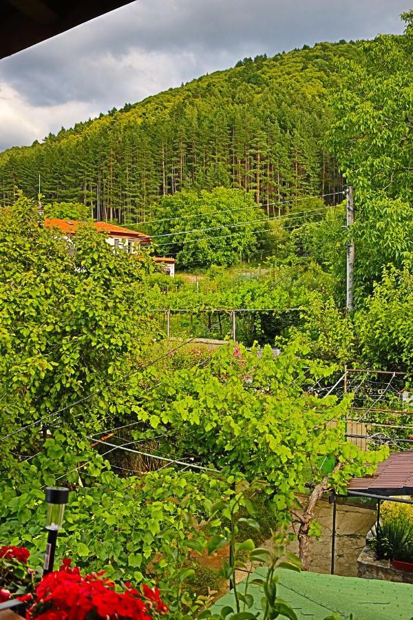 Green House - Попниколови Sapareva Banya Luaran gambar